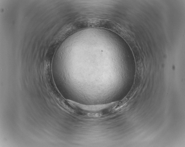 X0000058800225200510211847