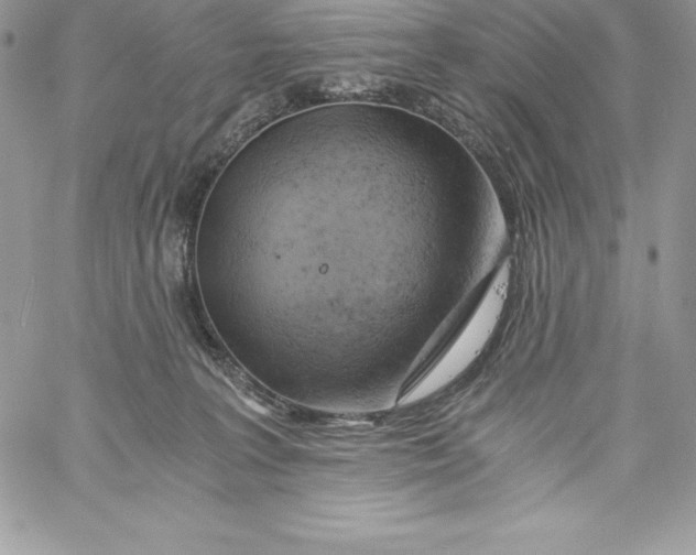 X0000058800227200510211847