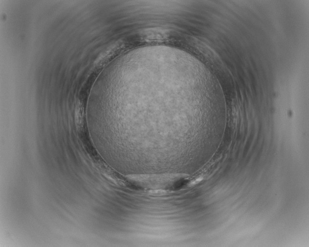 X0000058800228200510211847