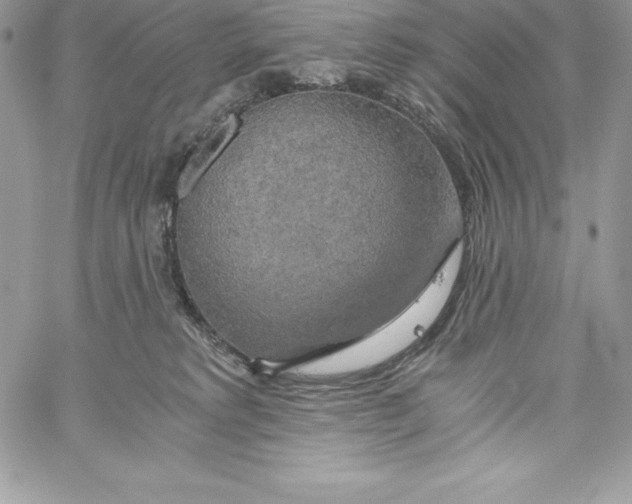 X0000058800229200510211847