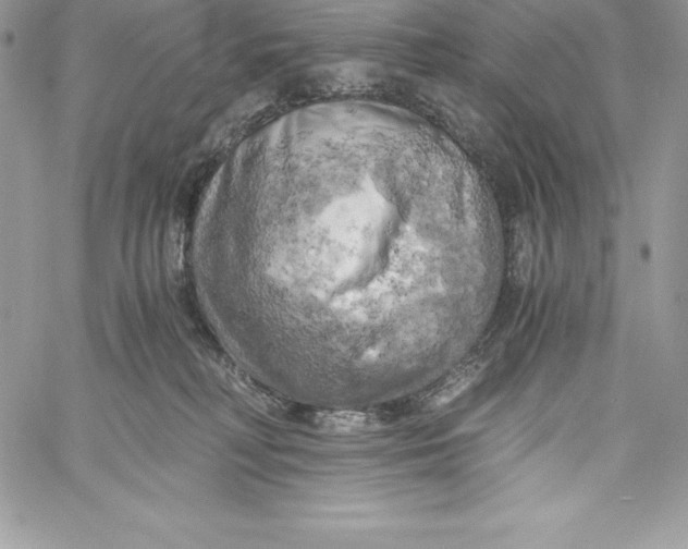 X0000058800230200510211847