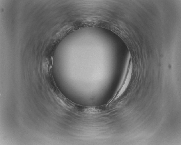X0000058800231200510211847