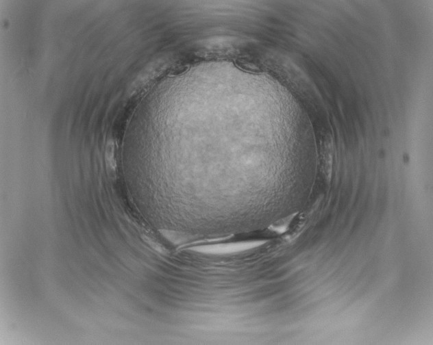 X0000058800232200510211847