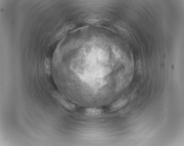 X0000058800234200510211847