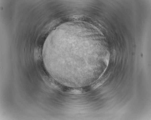 X0000058800236200510211847