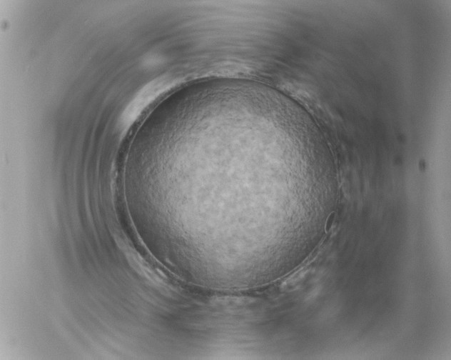 X0000058800242200510211846