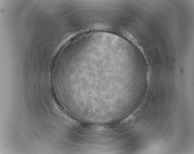 X0000058800249200510211846