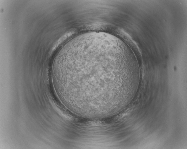 X0000058800250200510211846