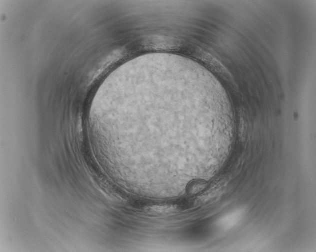 X0000058800251200510211846
