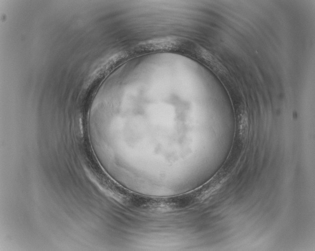 X0000058800254200510211846