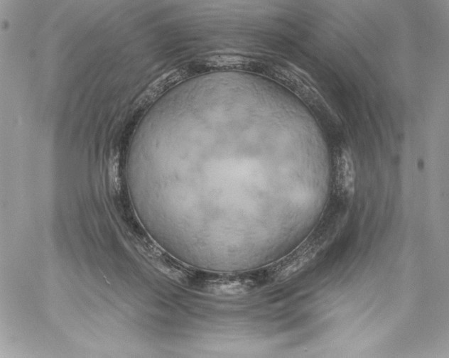 X0000058800267200510211846