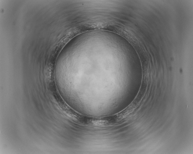 X0000058800268200510211846