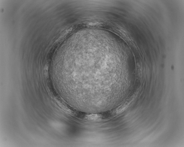 X0000058800269200510211846