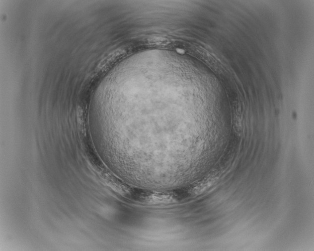 X0000058800270200510211846