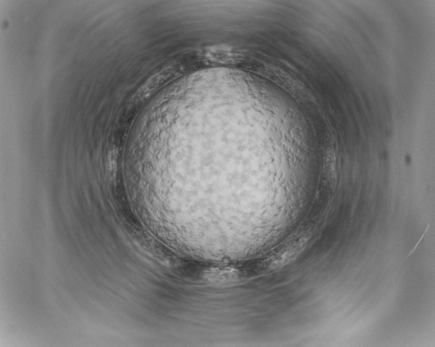 X0000058800271200510211846