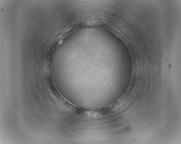 X0000058800272200510211846