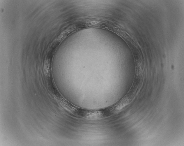 X0000058800274200510211846