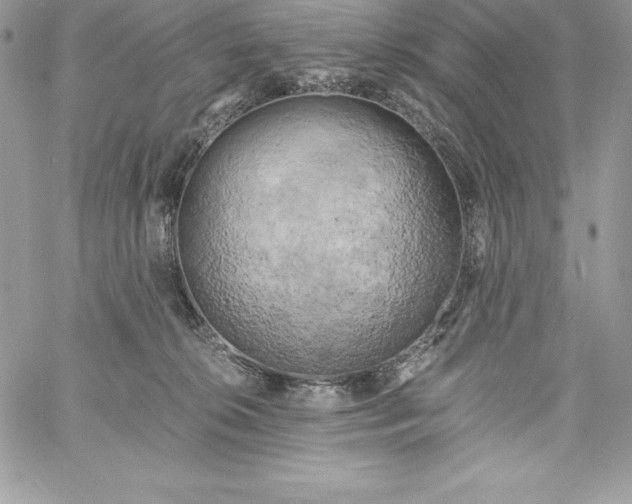 X0000058800276200510211846