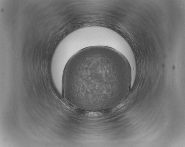 X0000058800277200510211846