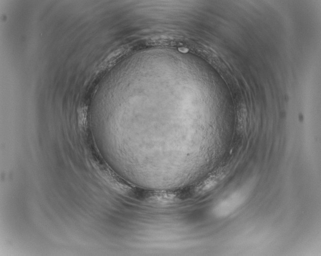 X0000058800278200510211846