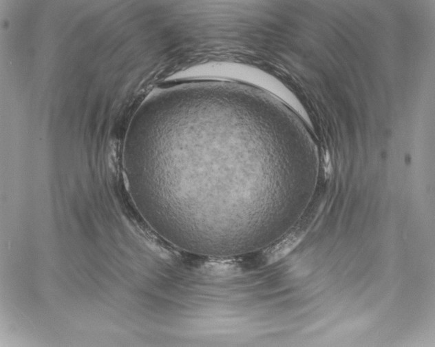 X0000058800280200510211846