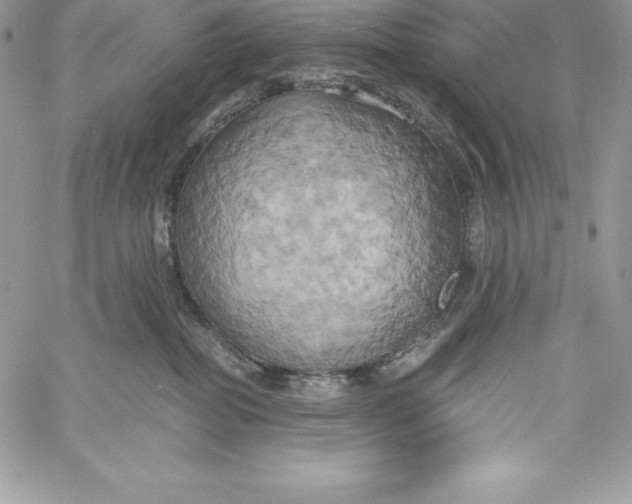 X0000058800282200510211847