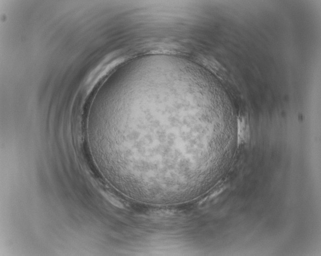 X0000058800291200510211846