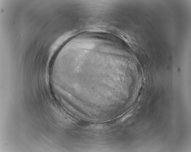 X0000058800294200510211846