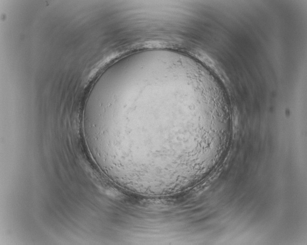 X0000058800297200510211846
