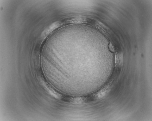 X0000058800301200510211846