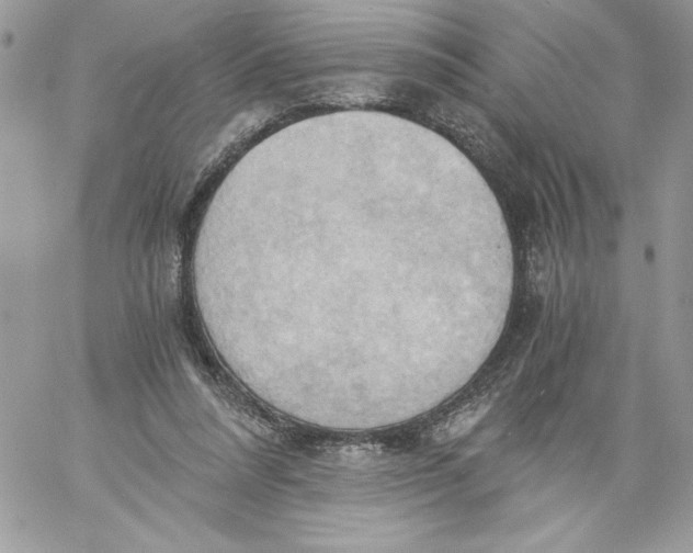 X0000058800304200510211846