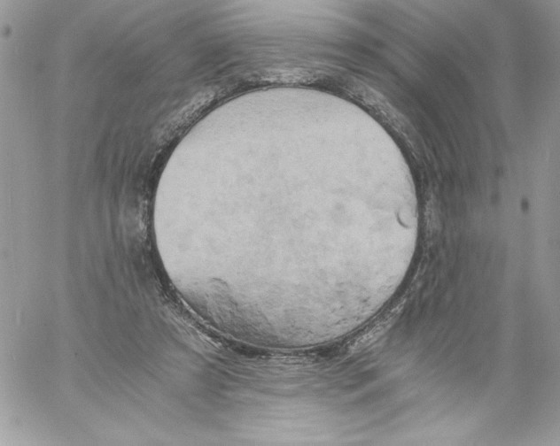 X0000058800305200510211846