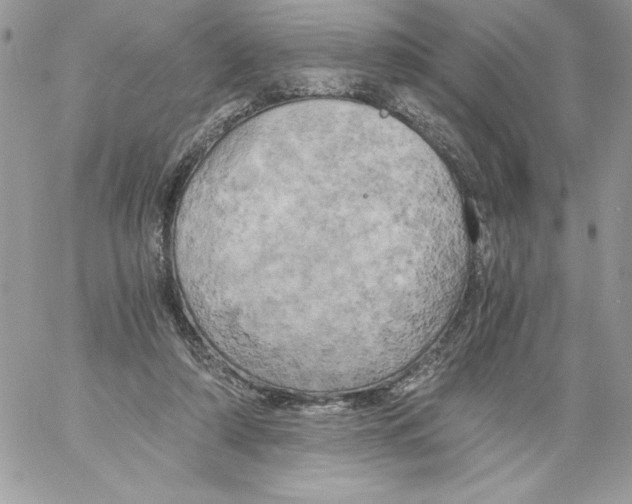 X0000058800306200510211846