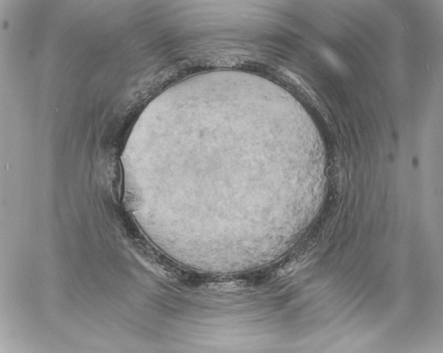 X0000058800307200510211846