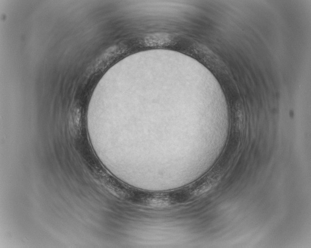 X0000058800308200510211846