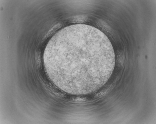 X0000058800312200510211845