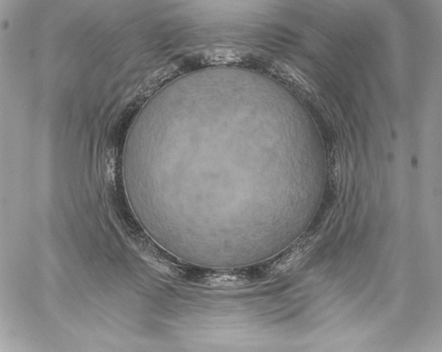 X0000058800315200510211845
