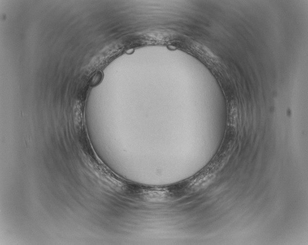 X0000058800318200510211845
