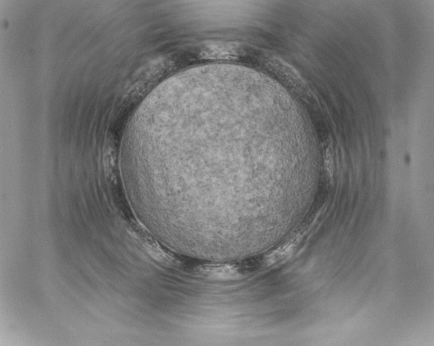 X0000058800322200510211845