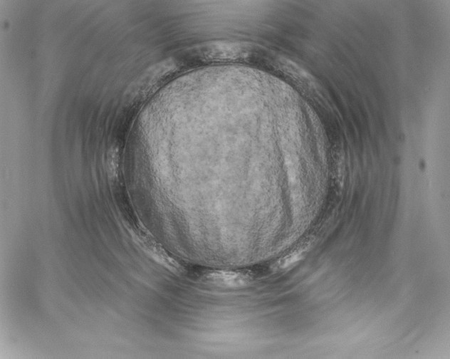 X0000058800326200510211845
