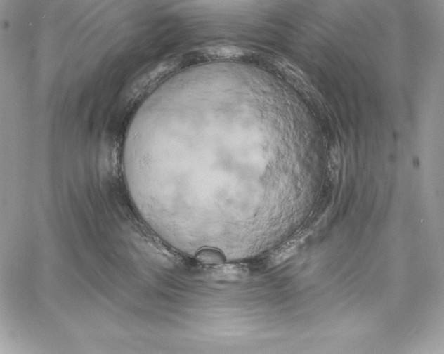 X0000058800330200510211845