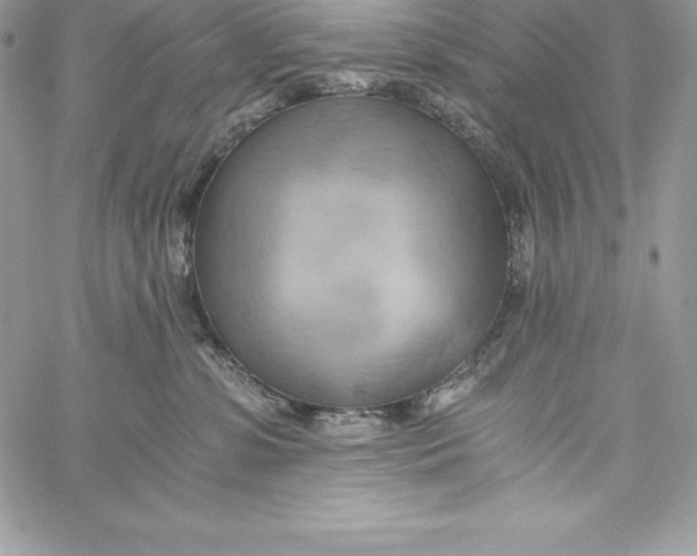 X0000058800331200510211845