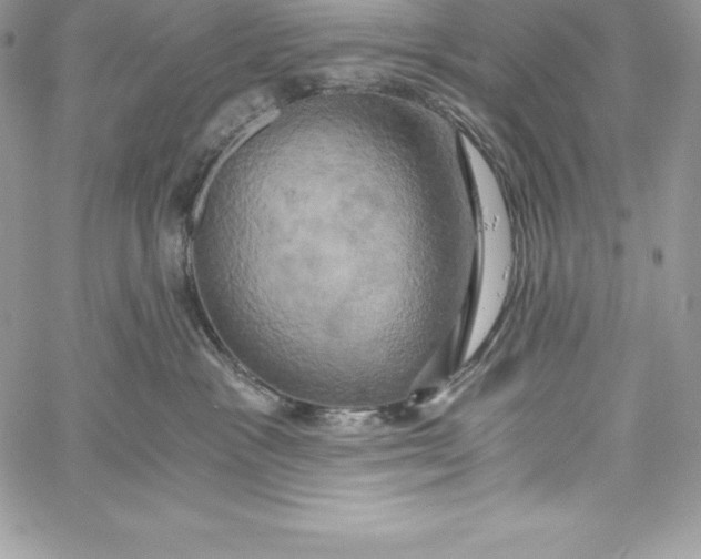 X0000058800333200510211845