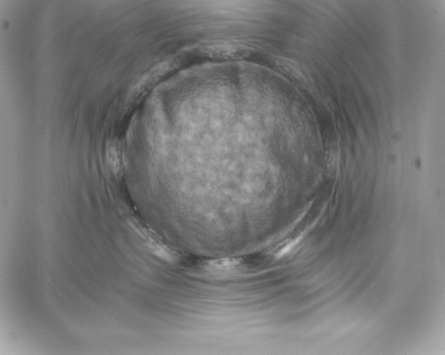 X0000058800335200510211845