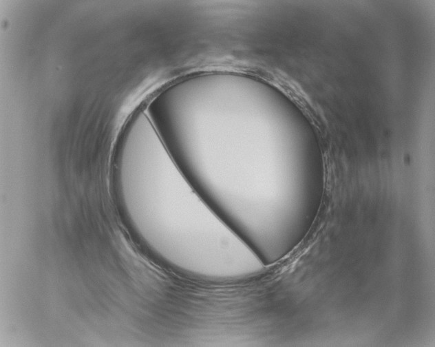 X0000058800344200510211844