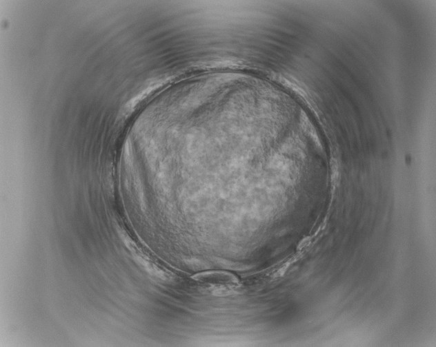 X0000058800345200510211844