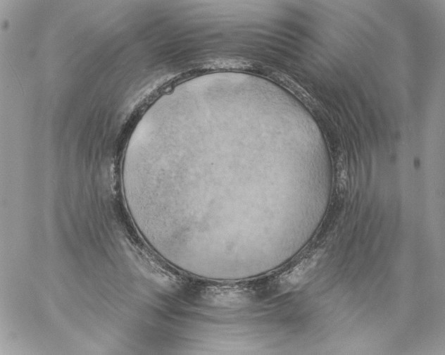 X0000058800351200510211845