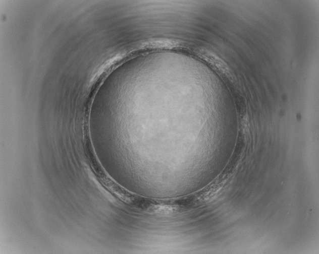 X0000058800352200510211845