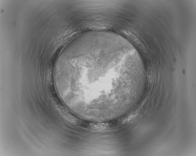 X0000058800359200510211845