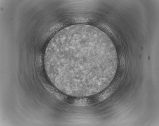 X0000058800362200510211845
